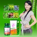 仙人掌浓缩减肥片