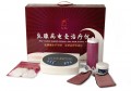 乳腺病电炙治疗仪