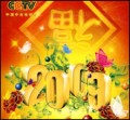2009年央视春节联欢晚会
